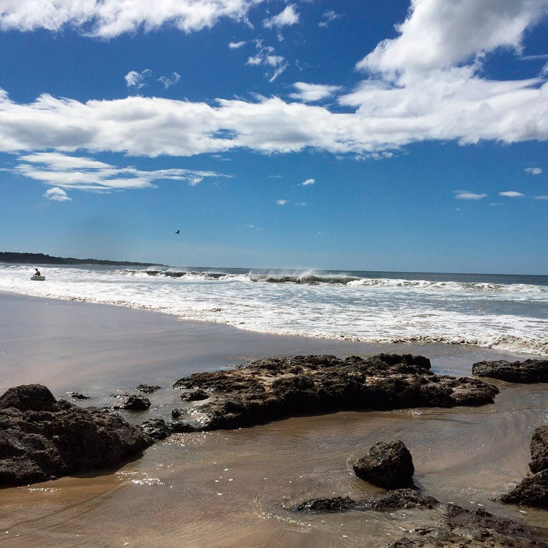 Playa Avellanas