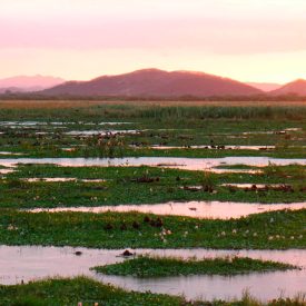 Parque Nacional Palo Verde